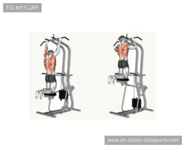 肩部健身器材：推荐有效锻炼肩部肌肉的健身器材及其使用技巧