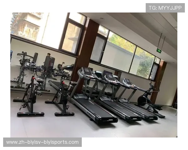 进口健身器材价格与选择：高端设备市场分析